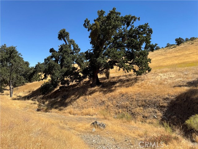 Detail Gallery Image 2 of 17 For 0 Arosa Rd, Tehachapi,  CA 93561 - – Beds | – Baths