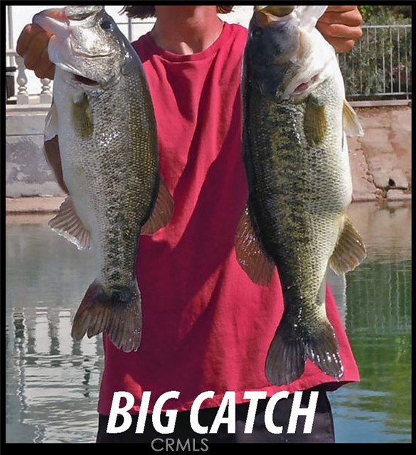 Detail Gallery Image 12 of 22 For 26701 Blue Water Rd, Helendale,  CA 92342 - – Beds | – Baths