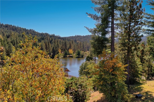 788 Brentwood Drive, Lake Arrowhead, California 92352, ,Land,For Sale,788 Brentwood Drive,CRRW23204974