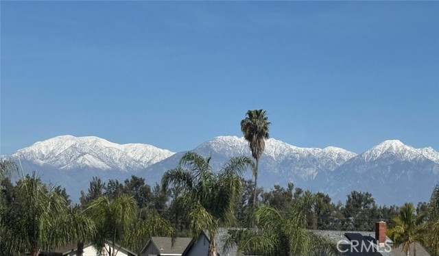 3526 Alder Place, Chino Hills CA: https://media.crmls.org/medias/aa8af3e3-9265-468c-a8f6-f595ffecea87.jpg