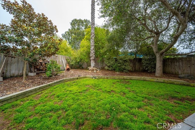 Lots of room for dogs and kids in the backyard