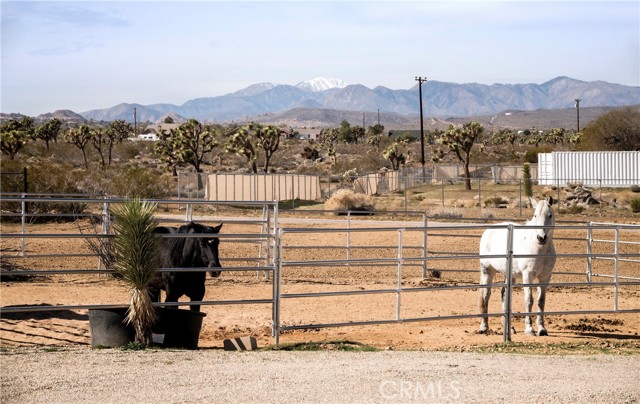 Detail Gallery Image 7 of 74 For 59621 Mesa Dr, Yucca Valley,  CA 92284 - 3 Beds | 3/1 Baths