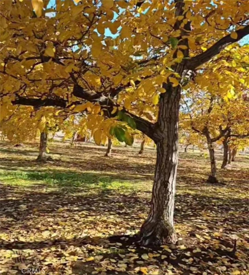 https://media.crmls.org/medias/aa98440c-0e38-43c8-9fa9-cfba652ca1ab.jpg?preset=X-Large