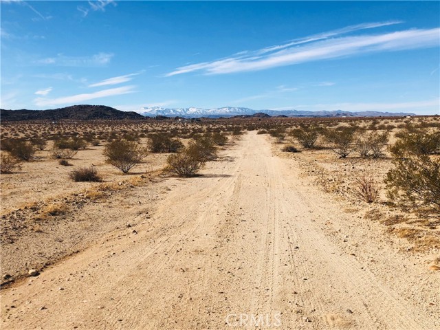 Detail Gallery Image 12 of 12 For 46 Desert Lily St, Joshua Tree,  CA 92252 - – Beds | – Baths