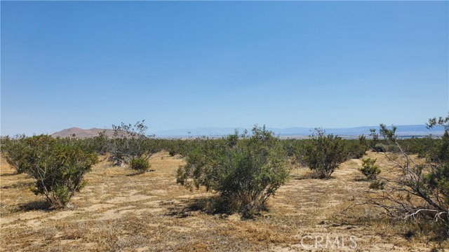 0 Budlong Ave & 114th St West, Rosamond, California 93560, ,Land,For Sale,0 Budlong Ave & 114th St West,CRSR23171065