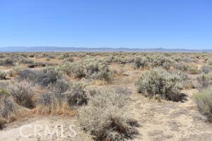 MLS #SR25156804 image #2