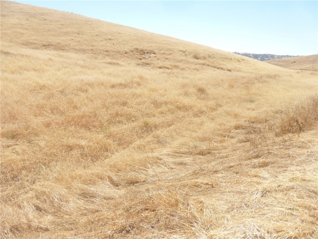 Detail Gallery Image 36 of 42 For 0 Douglas Rd. (Lots 40-43), San Miguel,  CA 93451 - – Beds | – Baths