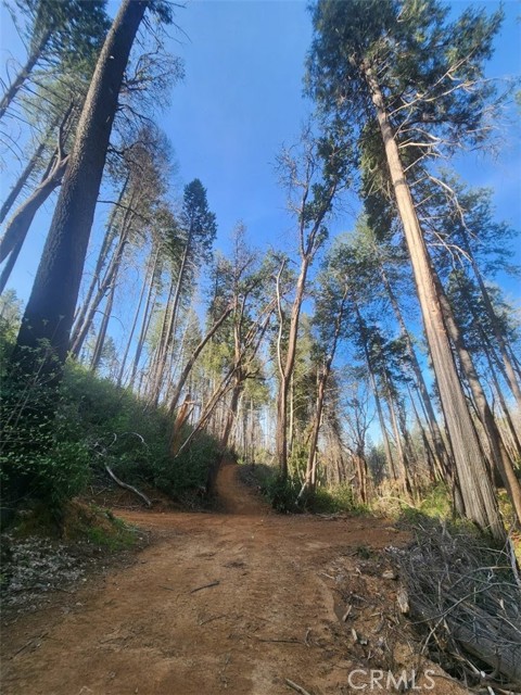 Detail Gallery Image 39 of 44 For 11691 Oro Quincy Hwy, Berry Creek,  CA 95916 - 2 Beds | 1 Baths