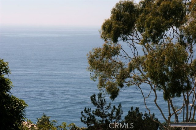 Detail Gallery Image 49 of 67 For 30851 Marilyn Dr, Laguna Beach,  CA 92651 - 3 Beds | 2 Baths