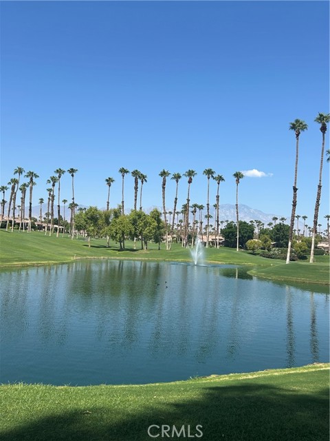 Detail Gallery Image 53 of 55 For 38750 Wisteria Dr, Palm Desert,  CA 92211 - 3 Beds | 3 Baths
