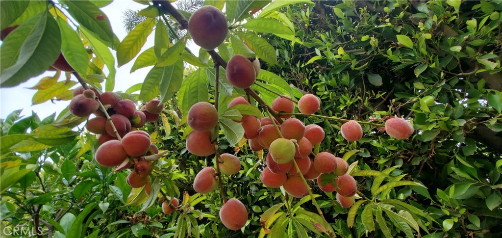 https://media.crmls.org/medias/aab478fa-06f9-41f0-9121-574f38178241.jpg?preset=X-Large