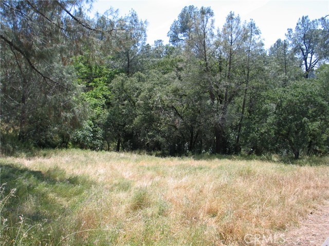 Detail Gallery Image 2 of 3 For 211 Lemon Hill Dr, Oroville,  CA 95966 - – Beds | – Baths