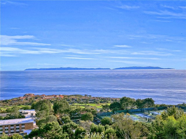 Ocean Catalina View