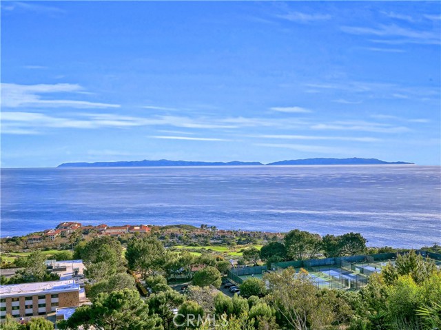 Ocean Catalina View