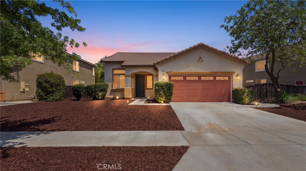 33675 Carnation