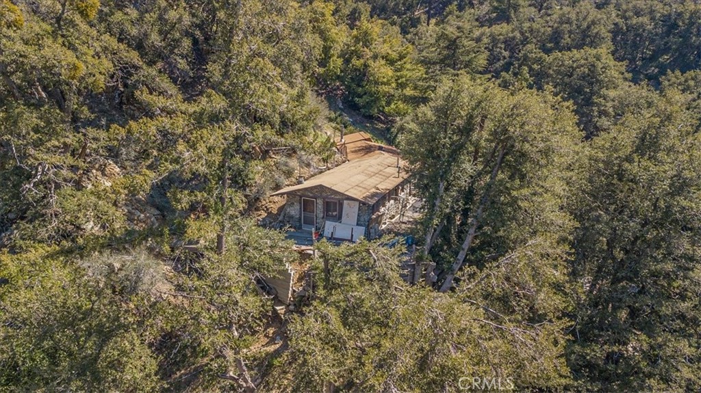 943 San Antonio Creek Road, Mt Baldy, CA 91759