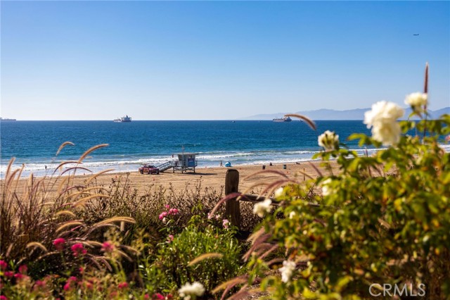 Detail Gallery Image 66 of 70 For 3603 Manhattan, Manhattan Beach,  CA 90266 - 3 Beds | 3/1 Baths