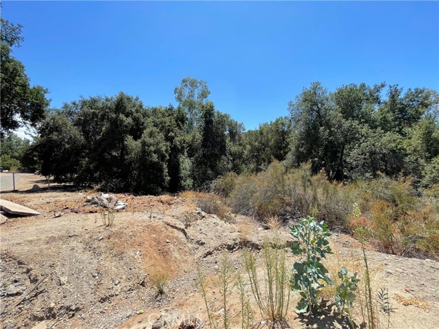 0 The Farm Rd, Wildomar, California 92595, ,Land,For Sale,0 The Farm Rd,CRSW22222726