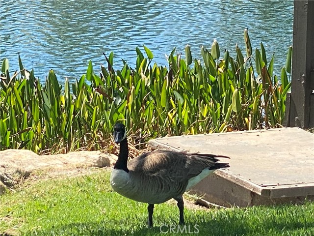 Detail Gallery Image 32 of 32 For 29371 Pinewood, San Juan Capistrano,  CA 92675 - 3 Beds | 2 Baths