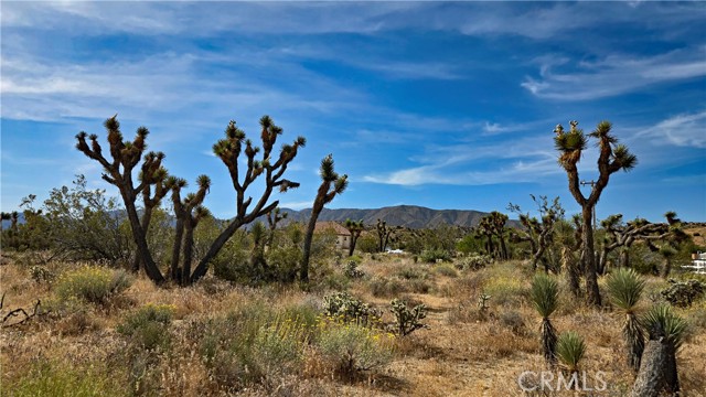 Detail Gallery Image 11 of 49 For 0 103rd St East Vicinity W14, –,  CA 93543 - – Beds | – Baths