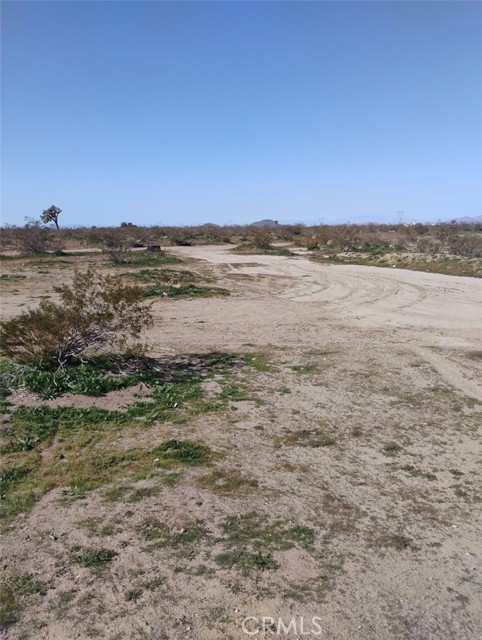 Detail Gallery Image 4 of 6 For 0 Colorado Rd, Pinon Hills,  CA 92372 - – Beds | – Baths