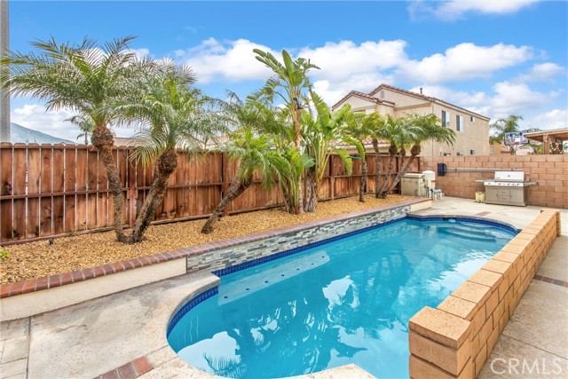 Mature Landscaping Around Pool