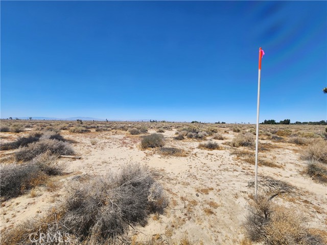 2 AC 122 E Street, Lancaster CA: https://media.crmls.org/medias/aae5d748-34a7-42f1-8596-9021b49eaece.jpg