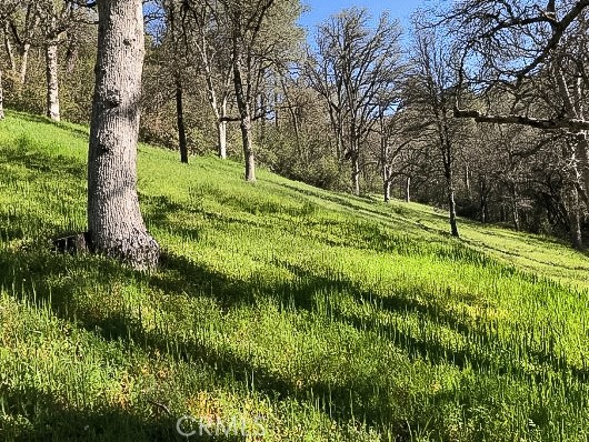 Detail Gallery Image 5 of 43 For 4743 Buffalo Gulch Rd, Midpines,  CA 95345 - – Beds | – Baths