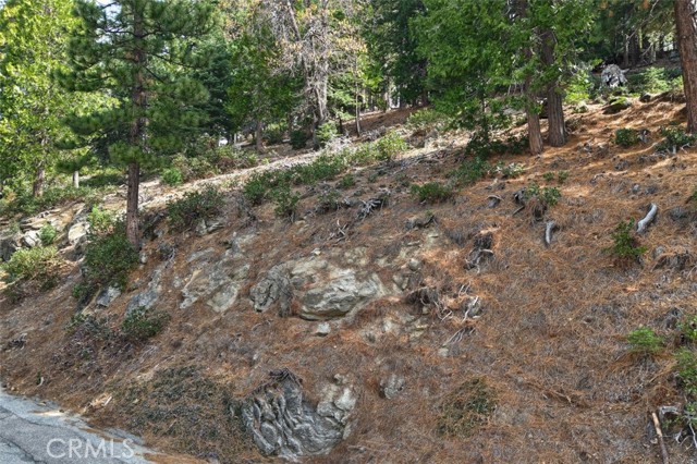 Detail Gallery Image 6 of 24 For 7486 Henness Ridge, Yosemite,  CA 95389 - – Beds | – Baths