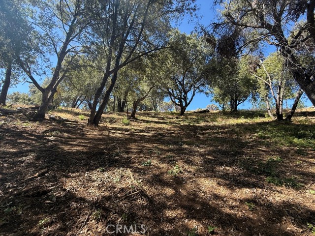 5710 Clouds Rst, Mariposa CA: https://media.crmls.org/medias/aae88aae-b6ed-4723-a914-9c37620f361a.jpg
