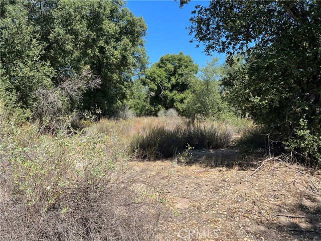 Detail Gallery Image 20 of 26 For 35010 Willow Creek Rd., Hemet,  CA 92544 - – Beds | – Baths