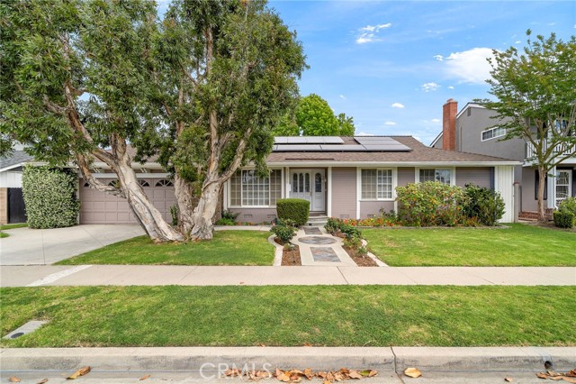 Front Image Thumbnail for CROC26081603