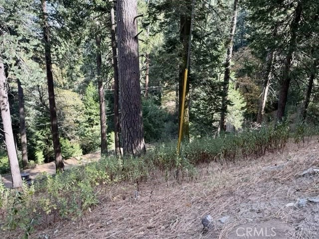 0 Burnt Mill Canyon Road, Cedarpines Park CA: https://media.crmls.org/medias/aafa9d18-32db-4a0c-9302-384a39ded6c0.jpg