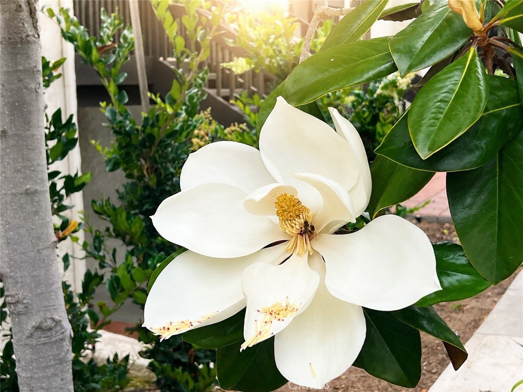 https://media.crmls.org/medias/aafb2b56-1dd8-450a-a31d-121d877af952.jpg?preset=X-Large