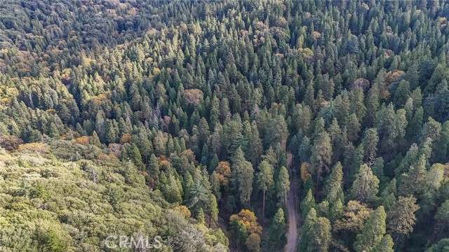 Detail Gallery Image 7 of 7 For 0 Deer Run Rd, Cedarpines Park,  CA 92322 - – Beds | – Baths