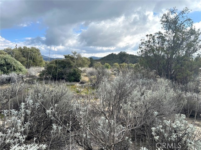 Detail Gallery Image 25 of 29 For 0 Oak Rd, Anza,  CA 92539 - – Beds | – Baths