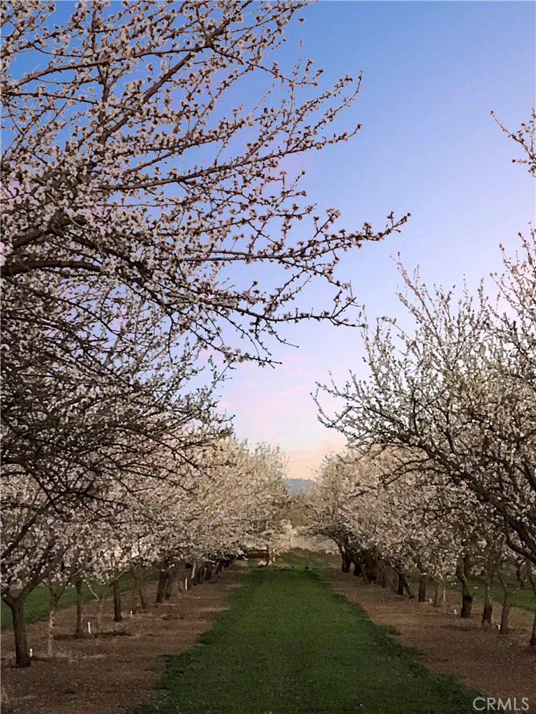 https://media.crmls.org/medias/ab020073-9bcb-4c49-b7d8-779619387f12.jpg?preset=X-Large