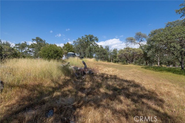 4372 Woodview Lane, Mariposa CA: https://media.crmls.org/medias/ab050cce-9de4-4e1b-a916-c44e748e6b38.jpg