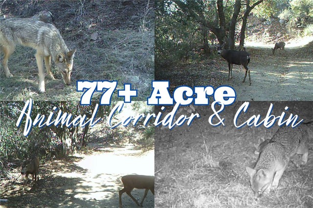 Front Image Thumbnail for CRND25228443