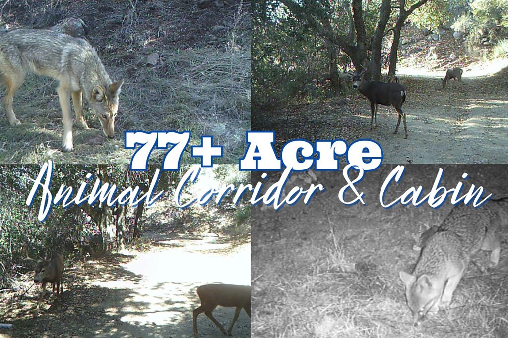 28618 Chihuahua Valley Road