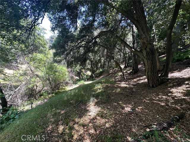 0 Oak Mountain Drive, Yucaipa, California 92399, ,Land,For Sale,0 Oak Mountain Drive,CRIG23148050