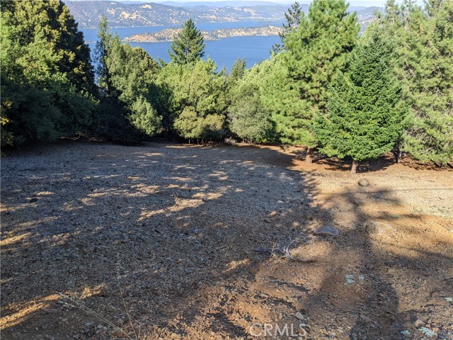 8196 Broadview Drive, Kelseyville, California 95451, ,Land,For Sale,8196 Broadview Drive,CRLC23139873