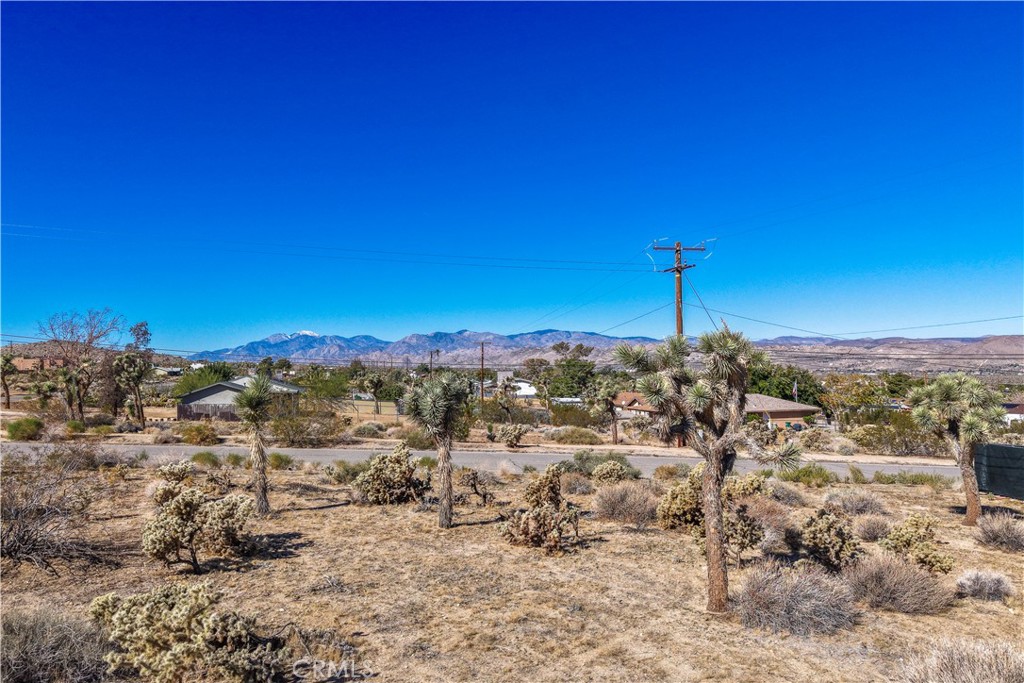 MLS #JT25246779 image #8