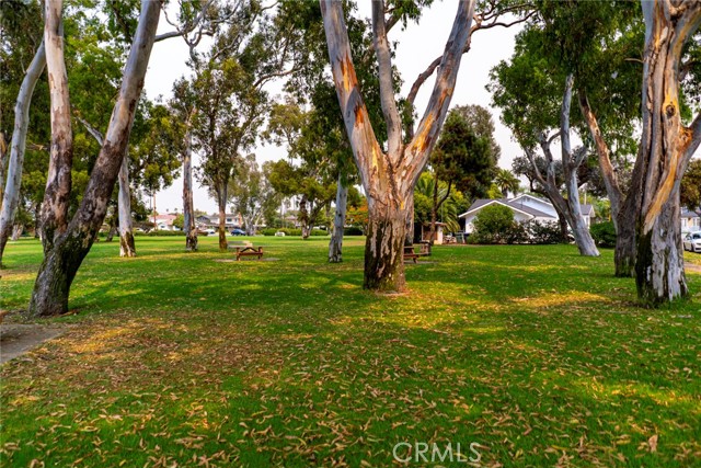 219 Oswego Avenue, Huntington Beach CA: https://media.crmls.org/medias/ab184b45-654b-425e-92f7-8cebe0f86f95.jpg
