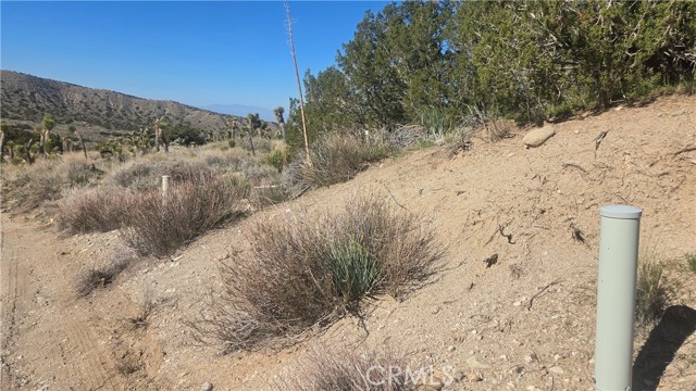 Detail Gallery Image 10 of 31 For 0 Pinon Road to Mescal Highlands, Llano,  CA 93544 - – Beds | – Baths