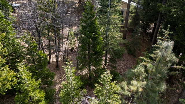 Detail Gallery Image 16 of 19 For 277 Snow Flower Ln, Lake Arrowhead,  CA 92352 - – Beds | – Baths