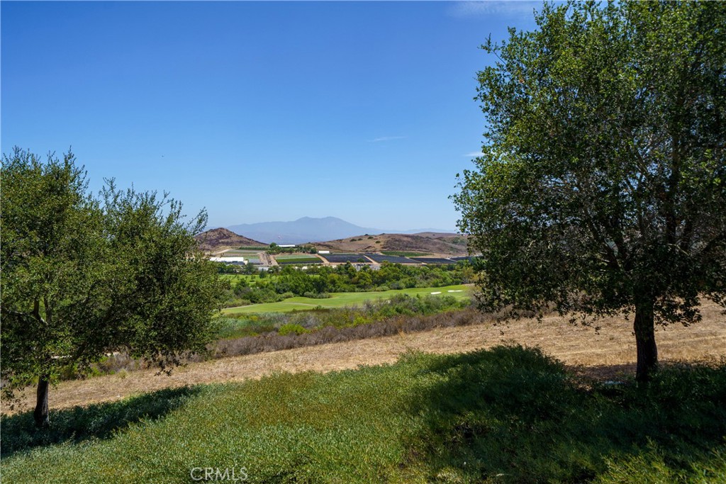 MLS #OC26161129 image #58