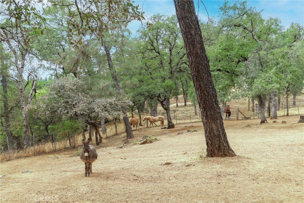 https://media.crmls.org/medias/ab20d928-0528-4d1d-b962-2f9e57a325f6.jpg?preset=X-Large