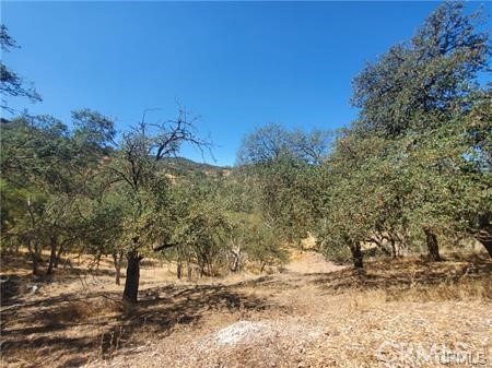 MLS #SC25236278 image #4