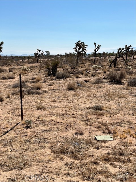 Detail Gallery Image 3 of 11 For 2801 Avalon Ave, Yucca Valley,  CA 92284 - – Beds | – Baths